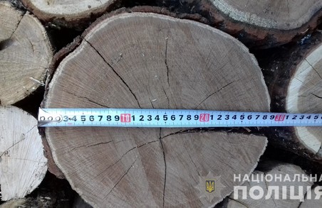 На Харківщині триває незаконна в рубка дерев