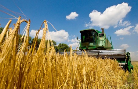 Харківщина займає друге місце за валовим виробництвом ранніх зернових культур та пшениці серед областей України