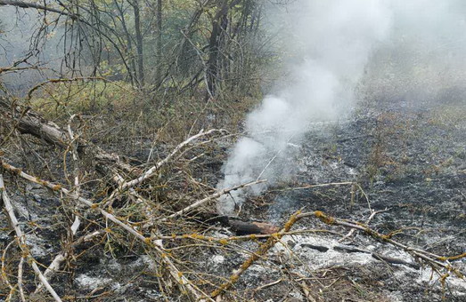 На Харківщині сталося ще 50 випадків пожеж та загорянь в природних екосистемах
