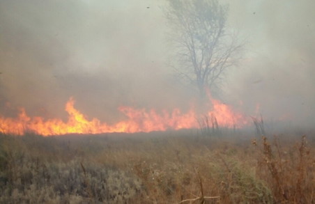 На Харківщині локалізована пожежа на військовому полігоні