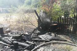На Харківщині тривають пожежі на природних екосистемах (фото)