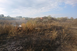 На Харківщині тривають пожежі на природних екосистемах (фото)