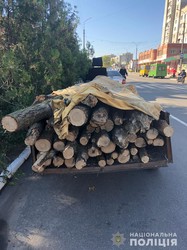 На Харківщині в черговий раз викрили незаконну вирубку дерев