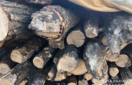 На Харківщині в черговий раз викрили незаконну вирубку дерев