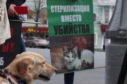 Притулок, а не шкуродерня: Харків’яни виступили проти вбивства тварин (ФОТО)