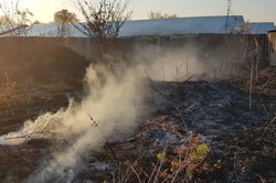 На Харківщині випалювання сухостою мало не знищило теплицю