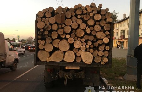 У Харкові зупинили вантажівку з деревиною (ФОТО)