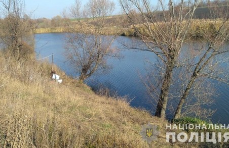 В ставку Харківщині потонула дитина