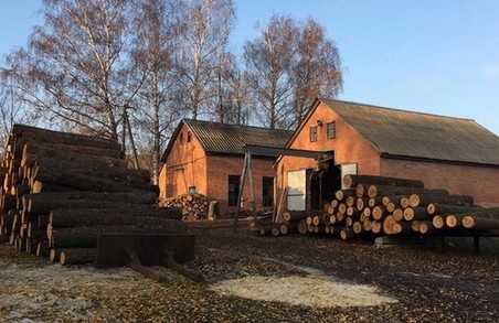 На Харківщині «чорні лісоруби» знищили ліс майже на сто мільйонів гривень – СБУ