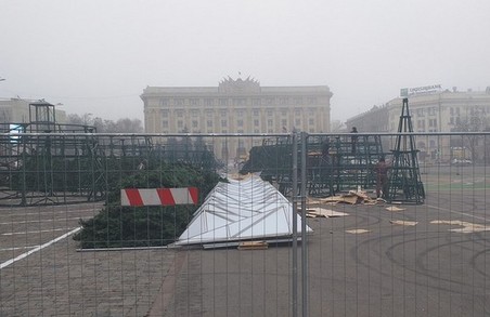 На площі Свободи почали встановлювати новорічну ялинку (ФОТО)