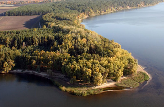 Прокуратура виявила незаконне відчуження земель лісового фонду на березі Печенізького водосховища