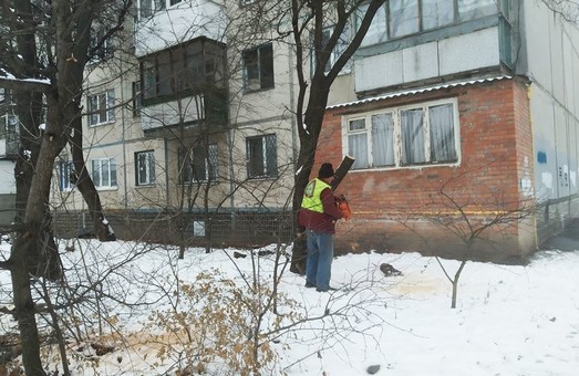 У Харкові відкрито кримінальну справу за незаконну вирубку дерев