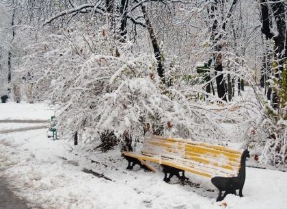 Українські синоптики прогнозують теплий січень - Укргідрометцентр