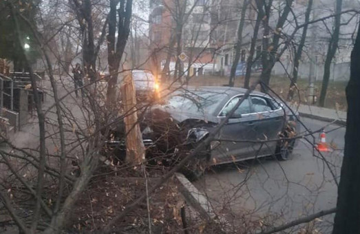 У Харкові п’яний водій протаранив дерево (ФОТО)