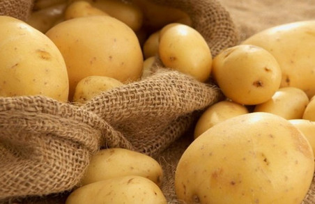 ХАЦ назвав ОТГ, яка закуповує картоплю за найвищою ціною на Харківщині