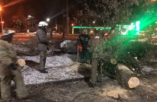 У Харкові рятувальники звільнили жінку, яку затиснуло поваленим деревом в автомобілі (ФОТО)