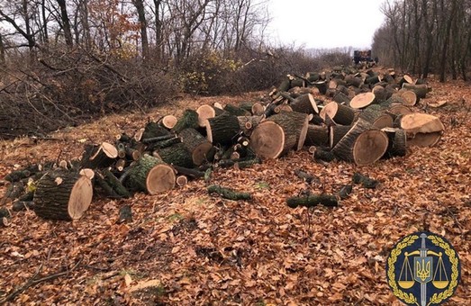 Прокуратура успішно вживає заходів для протидії незаконній вирубці лісу на Харківщині