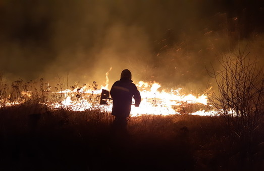 На Харківщині горить суха трава та очерет: за добу вогнеборці ліквідували 66 пожеж у природних екосистемах