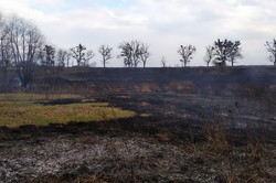 З початку весни на Харківщині трапилось 144 пожежі у природних екосистемах