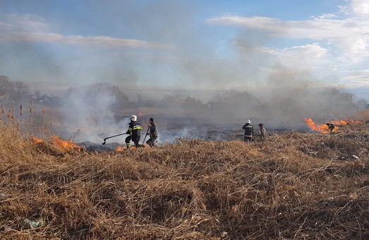 З початку березня на Харківщині виникло вже близько 400 пожеж в екосистемах