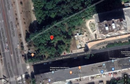 Для знищення зелених зон карантинів нема: в центрі Харкова знову зносять дерева (ФОТО)