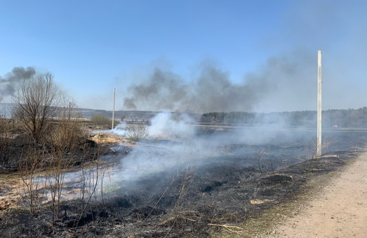 З початку року на Харківщині виникло 30 лісових пожеж: головна причина - умисні підпали сухої трави