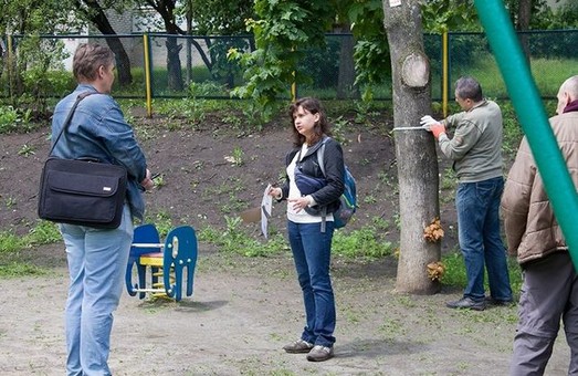 В Харкові активісти намагаються врятувати дерева в дитсадку від надмірного кронування (ФОТО)