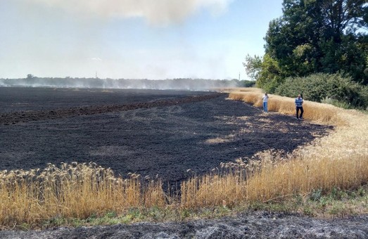 Конкуренти не дрімають: на Харківщині спалили пшеницю майбутнього врожаю