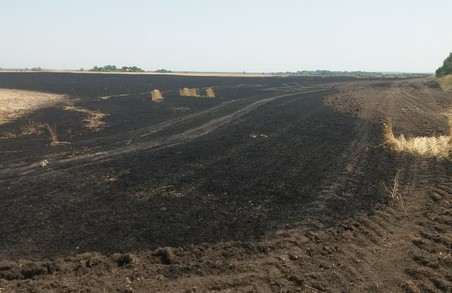 Підпали тривають: у Харківській області продовжують знищувати врожай