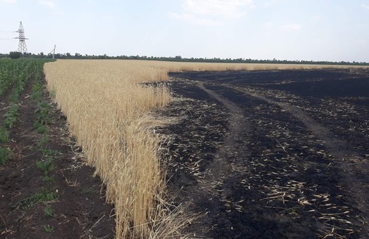 У Харківській області згоріли 20 гектарів