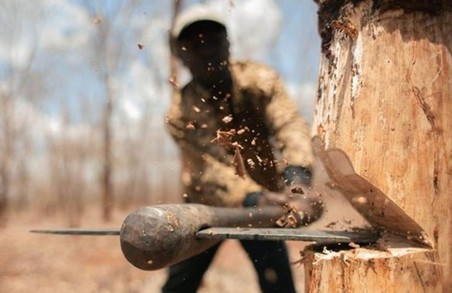 П'ять лісгоспів на Харківщині зазнали збитків від діяльності «нащадків Сиси»