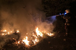 На Харківщині рятувальники ліквідували 50 пожеж сухостою та сміття (ФОТО)