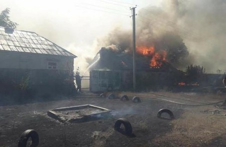 За минулу добу пожежі знищили близько 100 гектарів природних екосистем Харківщини