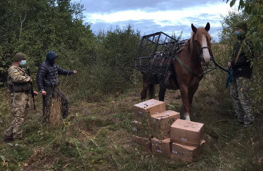На Харківщина порушник намагався перетнути кордон на коні (ФОТО, ВІДЕО)