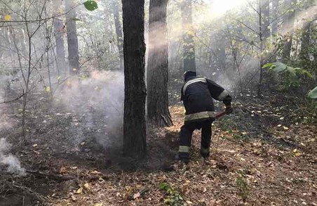 Пожежі в екосистемах на Харківщині завдають збитків лісам і приватним маєткам (ФОТО)