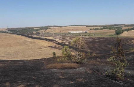 За минулу добу пожежі знищили близько 22,5 га природних екосистем Харківщини