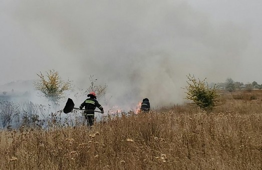 На Харківщині за добу пожежі знищили близько 18 гектарів природних екосистем