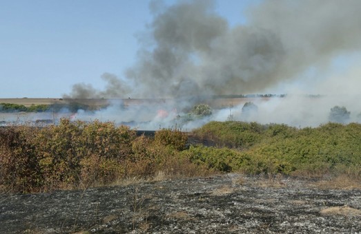 Харківські рятувальники за минулу добу ліквідували 33 пожеж на відкритих територіях
