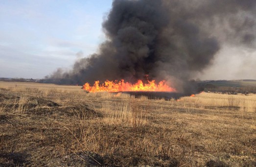 Харківські рятувальники ліквідували 94 пожеж на відкритих територіях