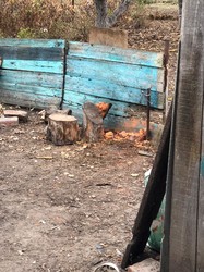 На Харківщині дитина постраждала через вибух снаряду  (ФОТО)