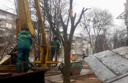 Харківські комунальники прибирають пошкоджені дерева