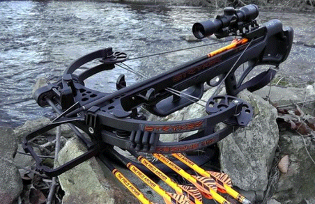 Як вибрати арбалет для новачка? Поради експертів